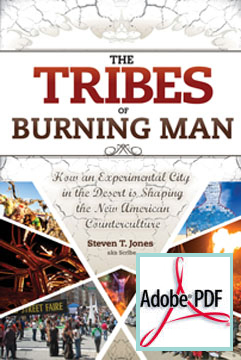The Tribes Burning Man Steven T.Jones