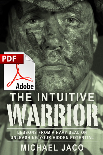 Intuitive Warrior eBook